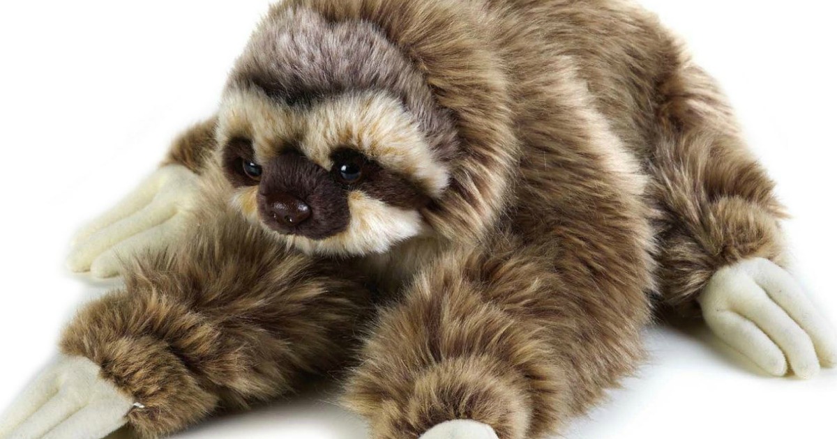 National Geographic Plush Sloth Lelly 