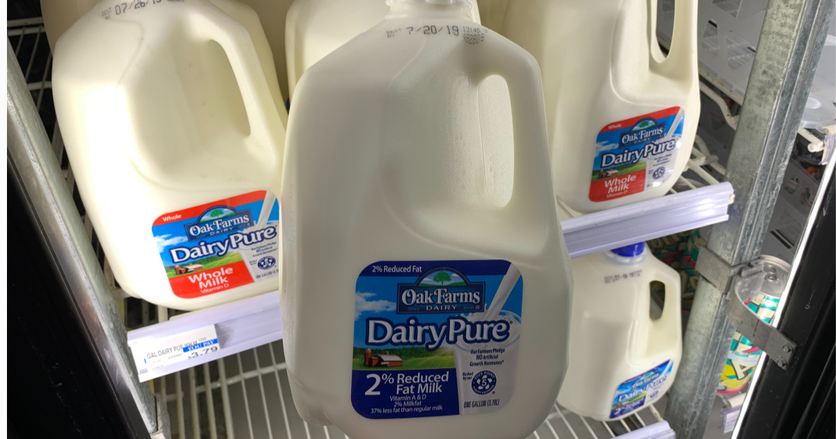 Dairy Pure milk