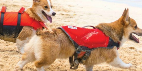 Highly Rated Dog Life Jacket as Low as $8.68 at Amazon (Regularly $55)