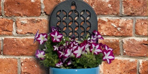 Metal Wall Planter Only $2.98 at Lowe’s (Regularly $7)