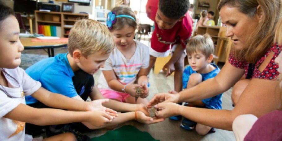 FREE Classroom Pets for Teachers: 2026-2027 Grant Now Open!