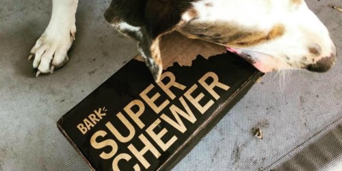 Super Chewer BarkBox Includes Tough Toys & More for Dogs That Love to Chew (100% Guarantee)