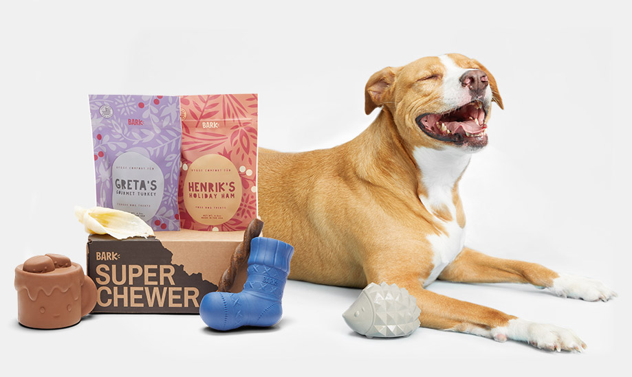 Super Chewer BarkBox Includes Tough Toys & More for Dogs That Love to