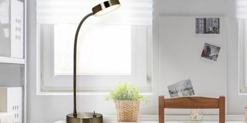 Adjustable Stainless Steel Desk Lamp Only $7.99 at Lowe’s (Regularly $20)