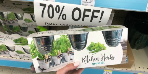Up to 90% Off Faux Plants, Grilling Gifts & More at Walgreens