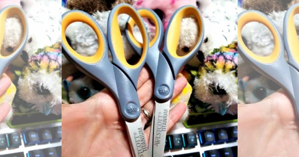 two pairs of Westcott scissors