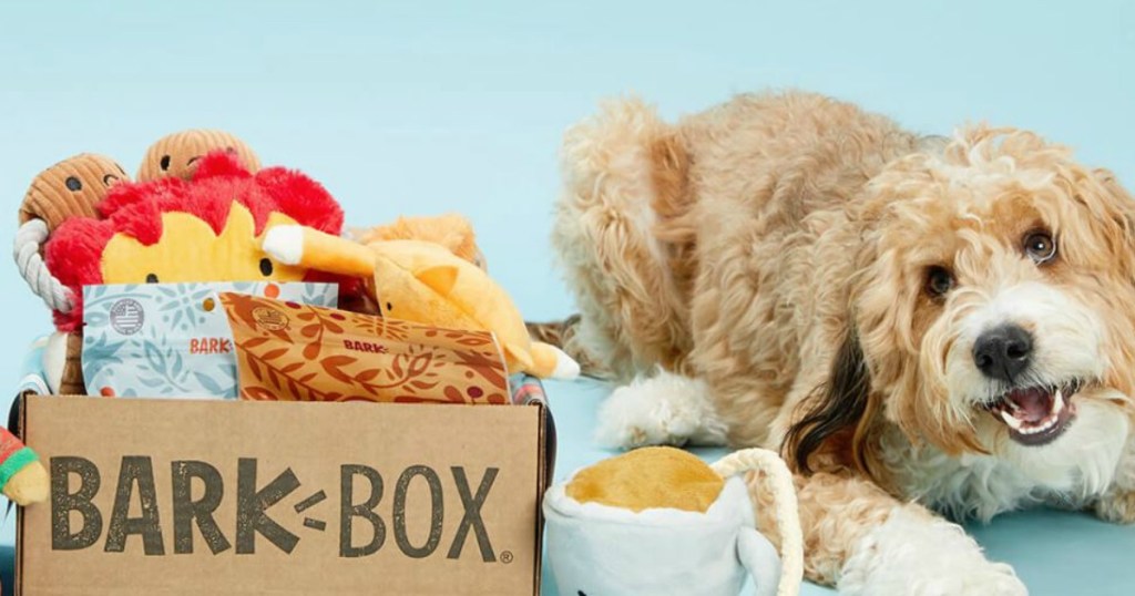 Get Your First BarkBox w/ FREE Toy for ONLY $5 Shipped - Hip2Save