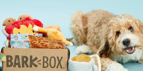 Get Your First BarkBox w/ FREE Toy for ONLY $5 Shipped