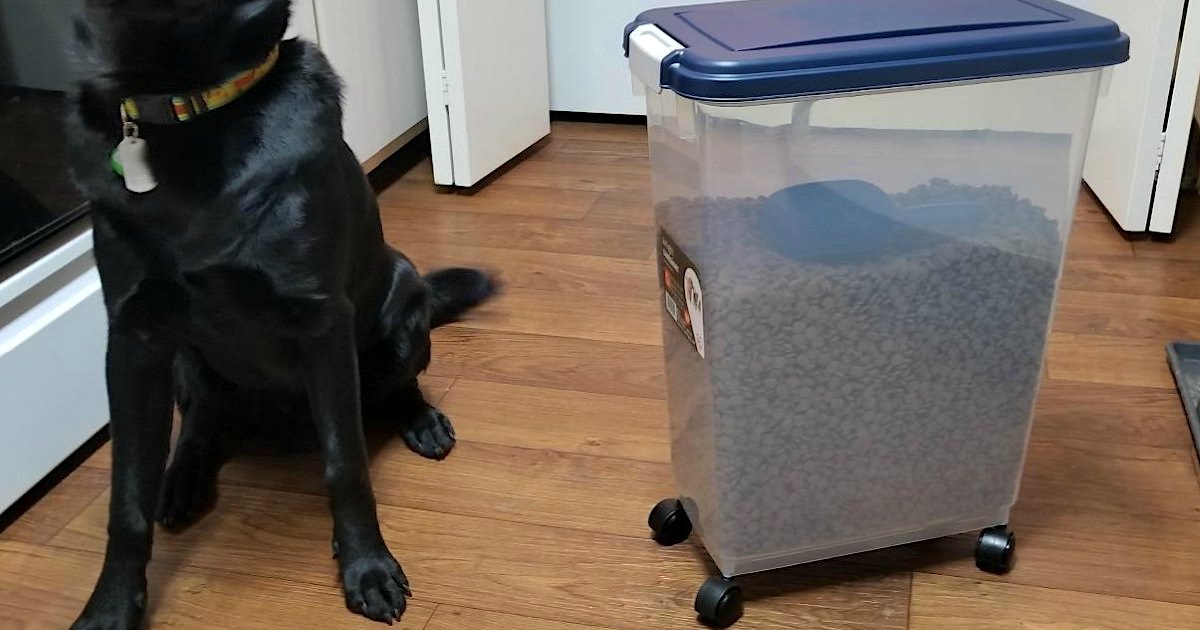 large pet food container