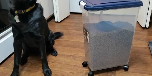 Large Airtight Pet Food Storage Containers Under $20 at Amazon