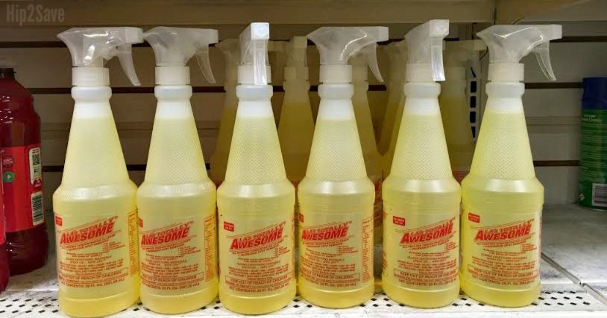 23 of the Best Things to Buy at Dollar Tree & 5 Items to Avoid Hip2Save