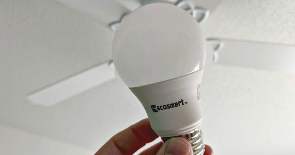 hand holding ecosmart bulb