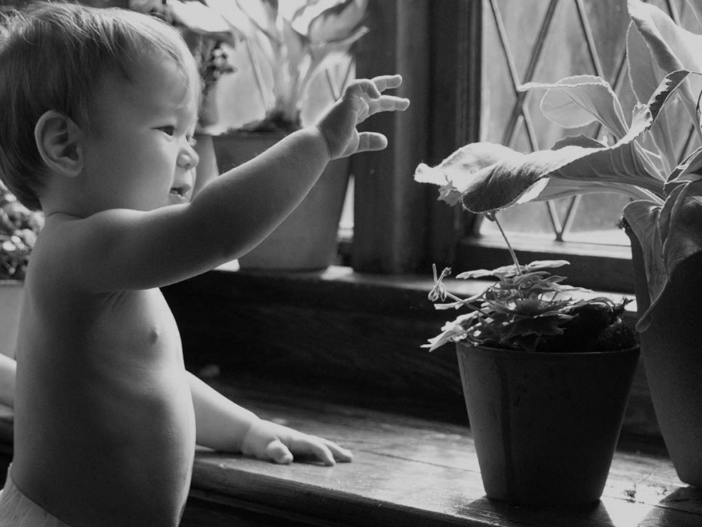 baby in diaper reaching for plant in pot