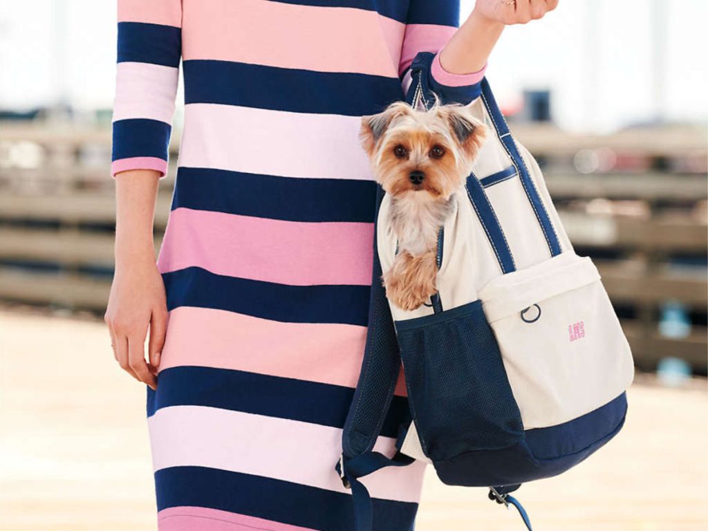 woman holding lands end Handled Canvas Backpack with yorkie