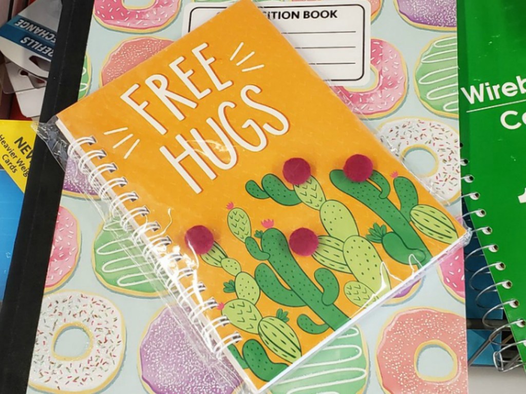 Fun & Fashionable Notebooks Only 1 at Dollar Tree