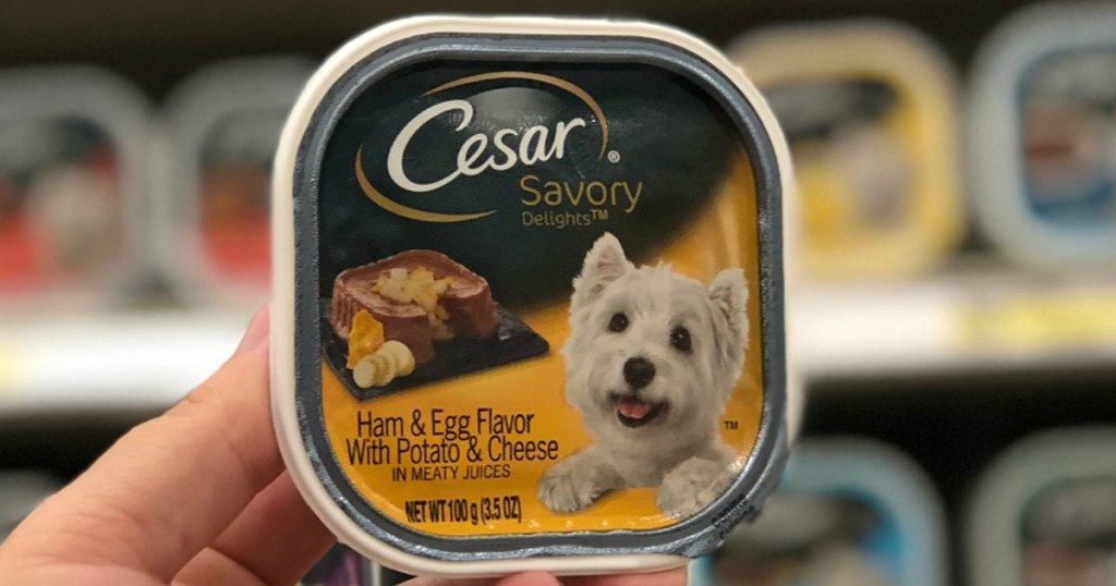 hand holding cesar wet dog food at target