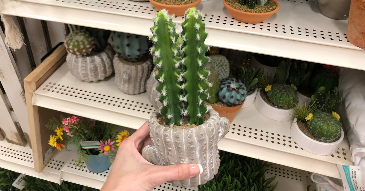 woman holding faux succulent in-store