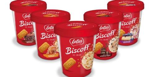 Lotus Biscoff Cookie Butter Ice Cream is Coming to a Store Near You