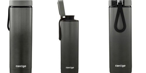 Contigo Stainless Steel Water Bottle Only $10.49 at Target (Regularly $25)