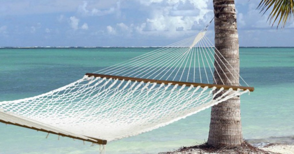 Hammock from Hayneedle on beach attached to a palm tree