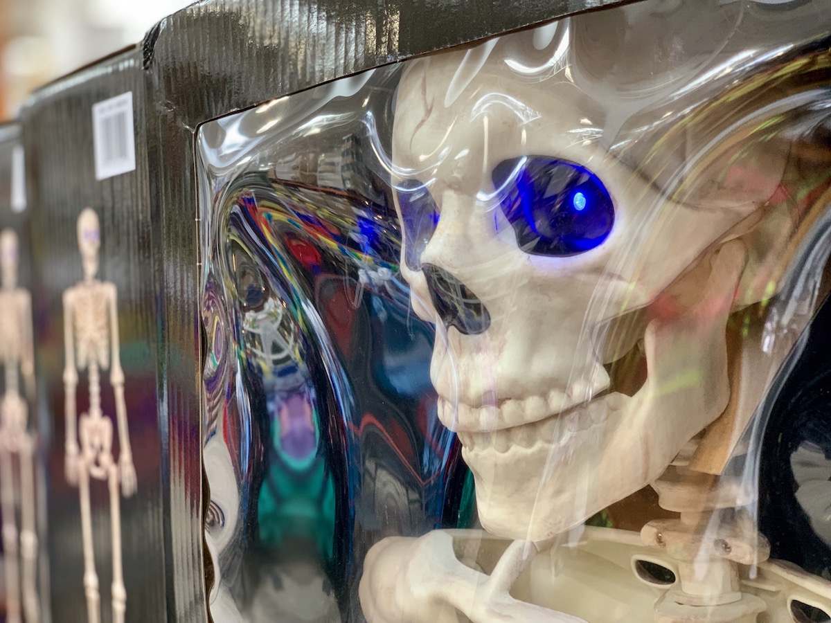 skeleton with glowing blue eyes in box