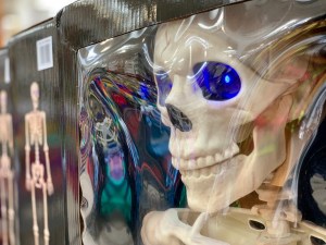 The Best Halloween Skeletons that are Life-Size & Posable