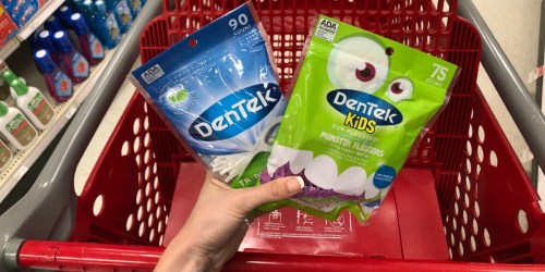 Dentek Flossers 90-Count Bag Only 40¢ at Target (Regularly $2.65) + More