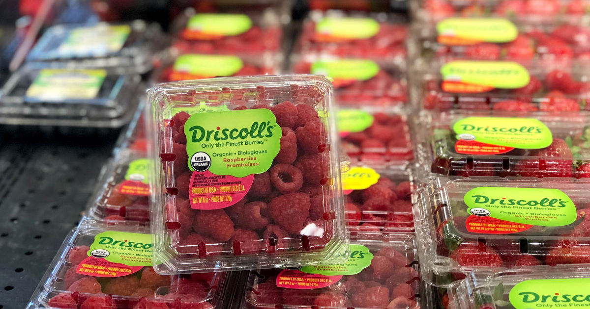 Driscott's Organic Raspberries at Target