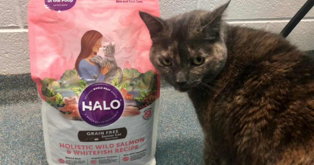 Halo Cat Food Holistic Wild Salmon & Whitefish Recipe