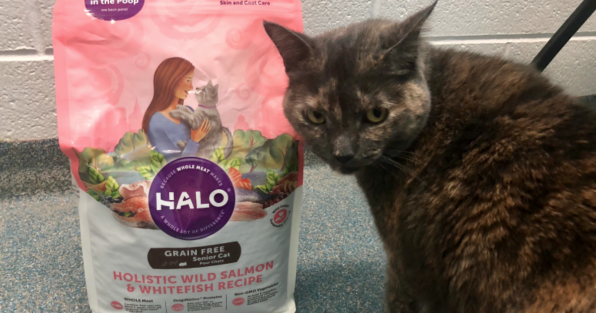 Halo Cat Food Holistic Wild Salmon & Whitefish Recipe with cat standing by bag