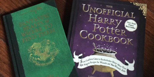 The Unofficial Harry Potter Cookbook Only $9.45 (Regularly $20) – Awesome Reviews