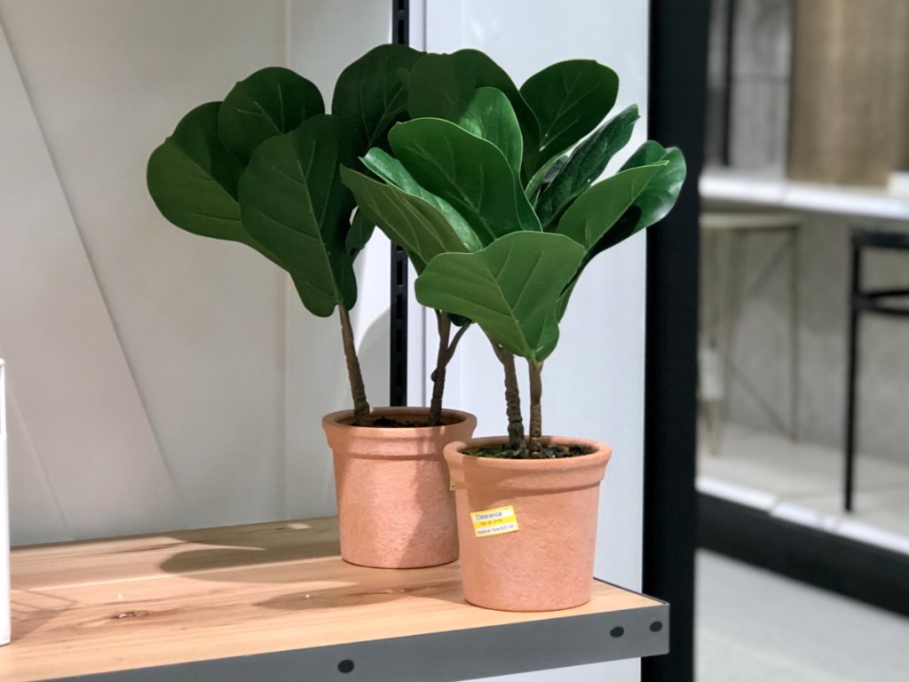 Hearth & Hand with Magnolia Faux Fiddle Leaf Plant in Terracotta Pot