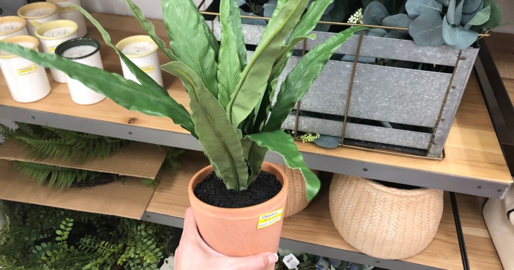 woman holding hearth and hand potted plant at target