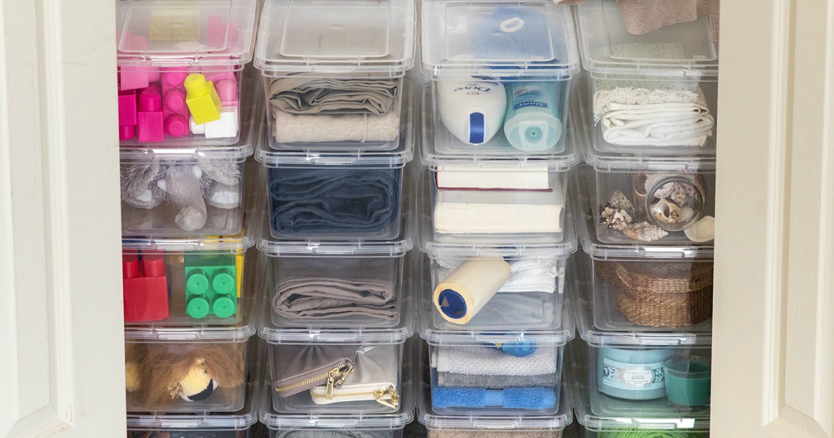 shoe box size storage containers