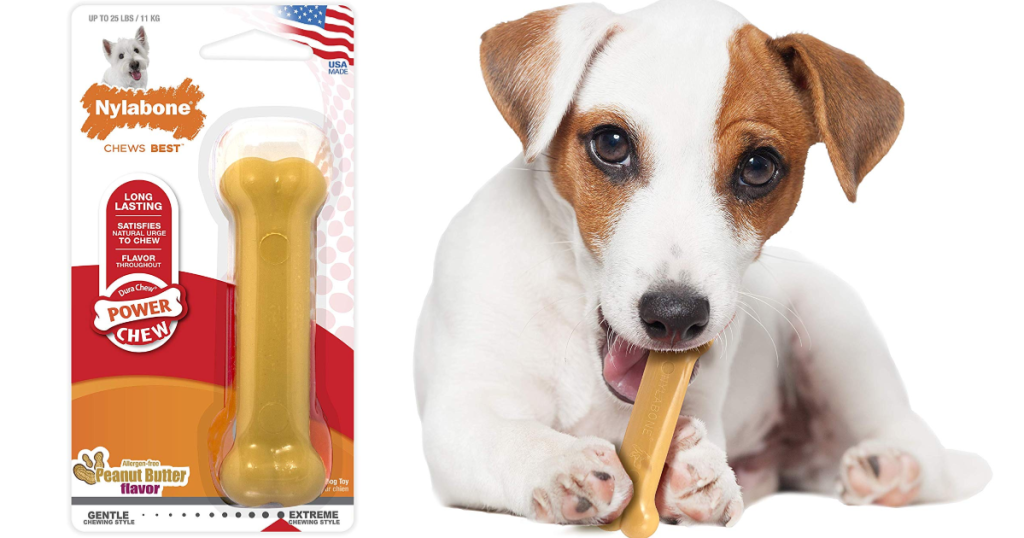 Nylabone Dura Petit Bone Dog Chew Toy with dog chewing on bone