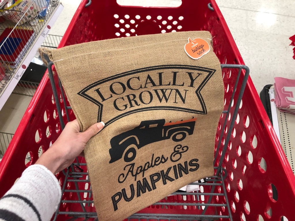 hand holding Pumpkin Bag in Target cart