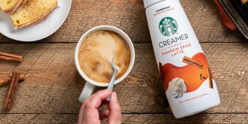 Starbucks Pumpkin Spice Creamer Now Available in Your Grocery Store