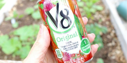 V8 Original 100% Vegetable Juice 24-Cans Only $8 on Amazon (Just 34¢ Per Can)