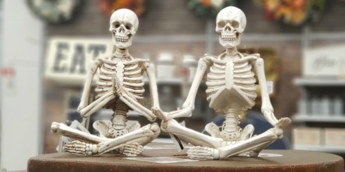 Michaels is Now Selling Meditating Yoga Skeletons!