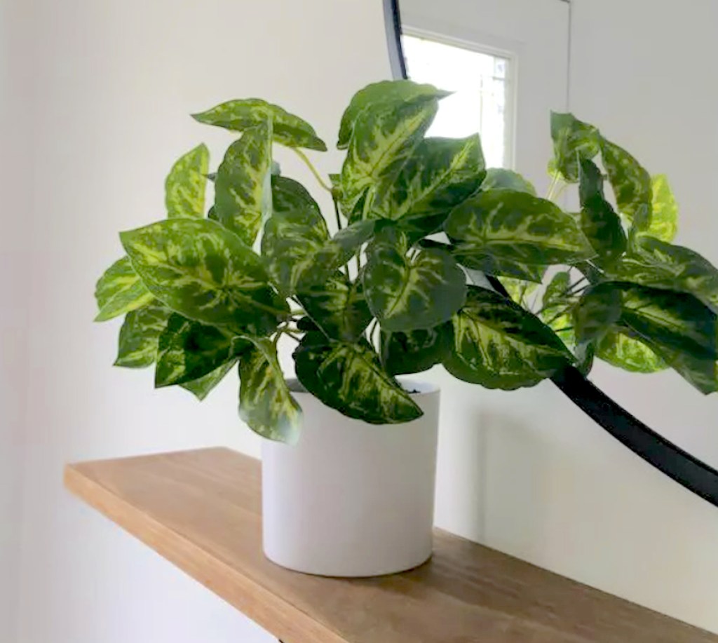 The Best Trendy Faux Houseplants That Look Totally Real!