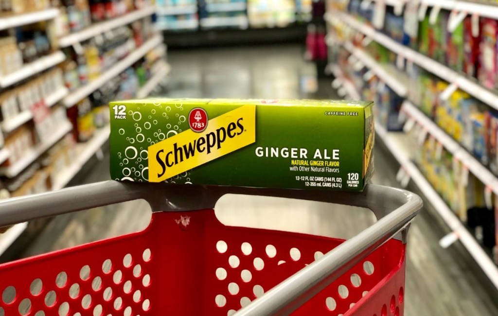 schweppes ginger ale 12-pack on target cart with blurred background