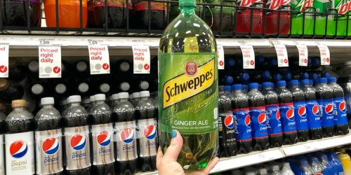 50% Off Schweppes Ginger Ale at Target (In-Store & Online)