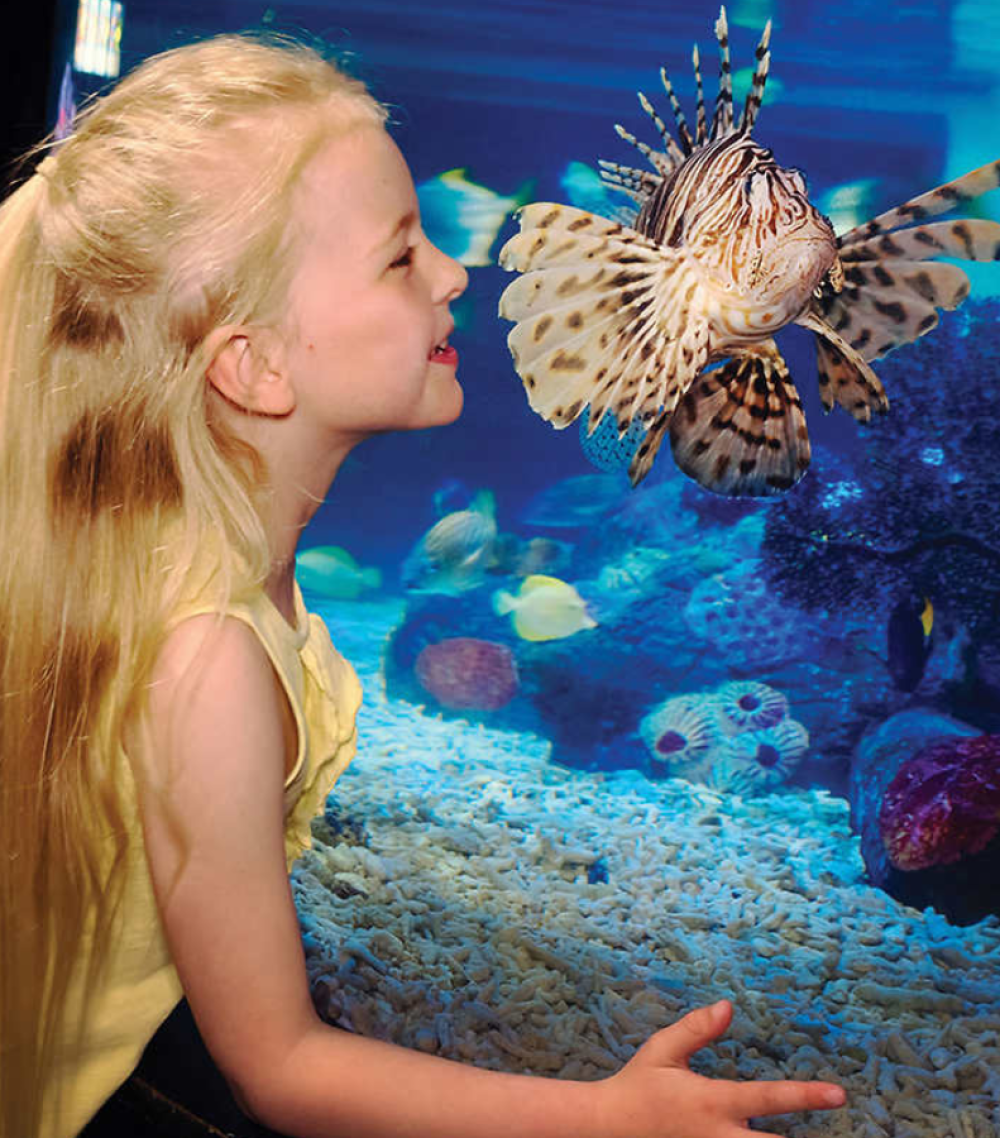 girl nose against glass at aquarium at Sea Life