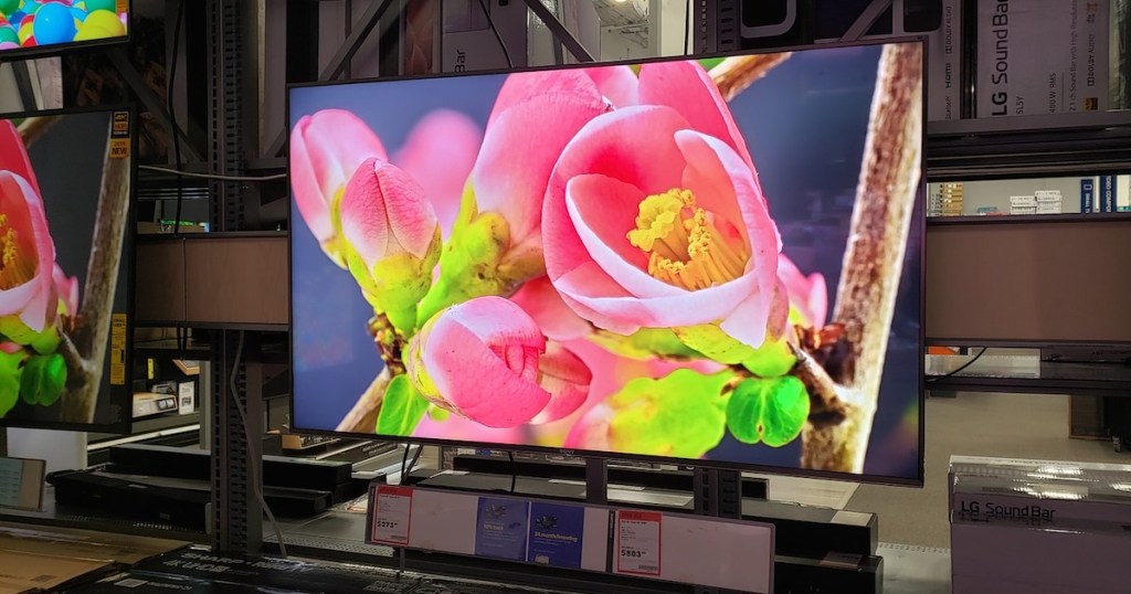 sony tv with bright colored flower on screen