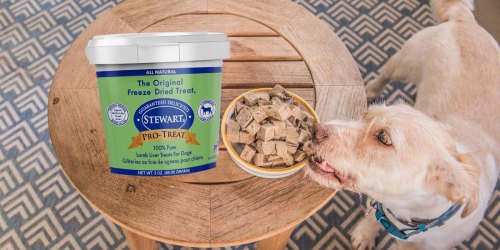 Stewart Freeze Dried Dog Treats Only $3.59 at Amazon