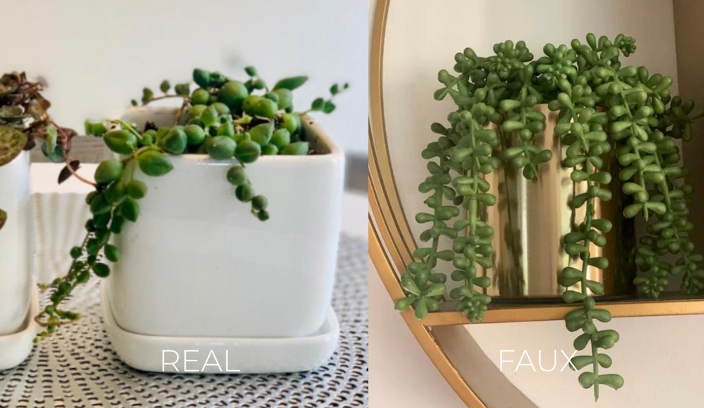 string of pearls in white and gold potted planters