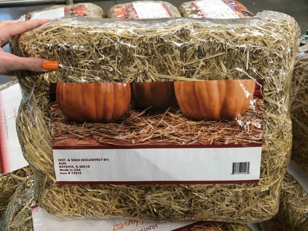 Fun Seasonal ALDI Finds for Fall Decor, Baskets & More