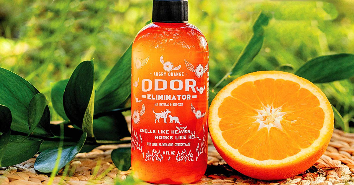 Angry Orange Odor Eliminator Concentrate Only 18 Shipped Get Rid of