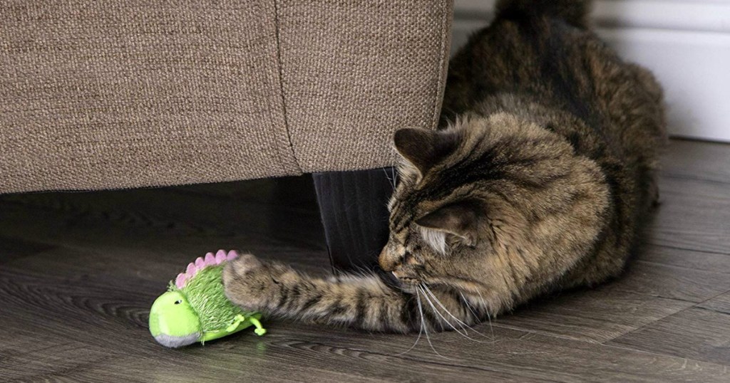 Large longhaired cat playing with a battery operated toy on hardwood floor near a couch