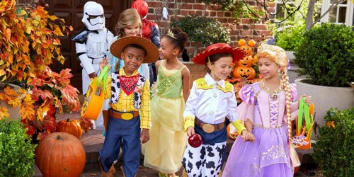 30% Off Disney Costumes & Accessories | Toy Story, Disney Princesses & More